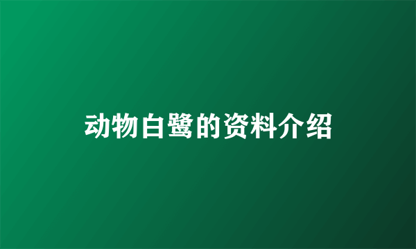 动物白鹭的资料介绍
