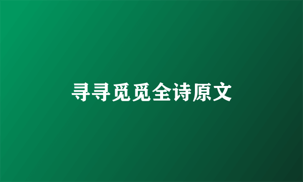 寻寻觅觅全诗原文
