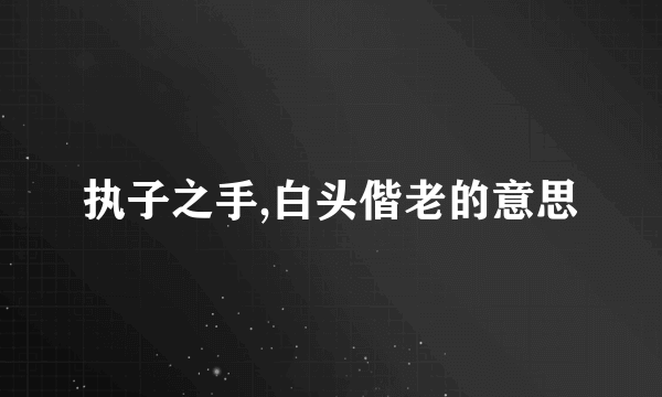 执子之手,白头偕老的意思