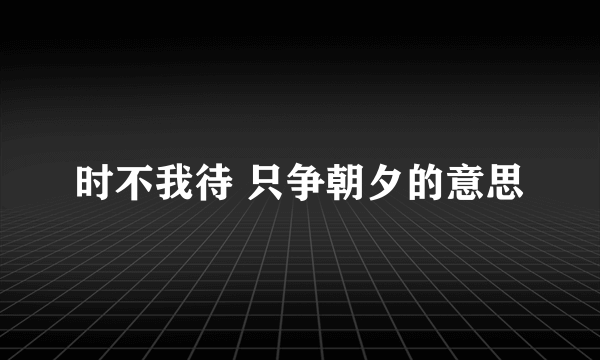 时不我待 只争朝夕的意思
