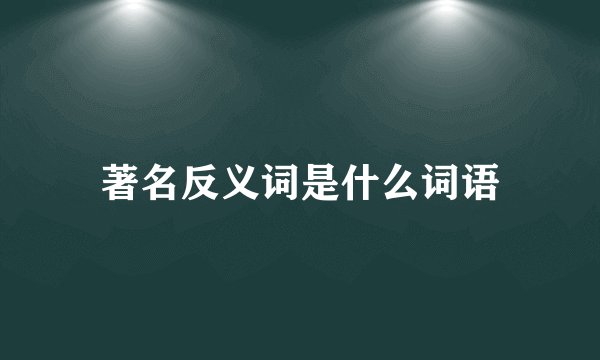 著名反义词是什么词语