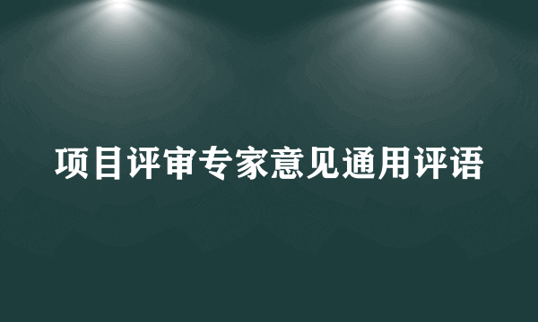 项目评审专家意见通用评语