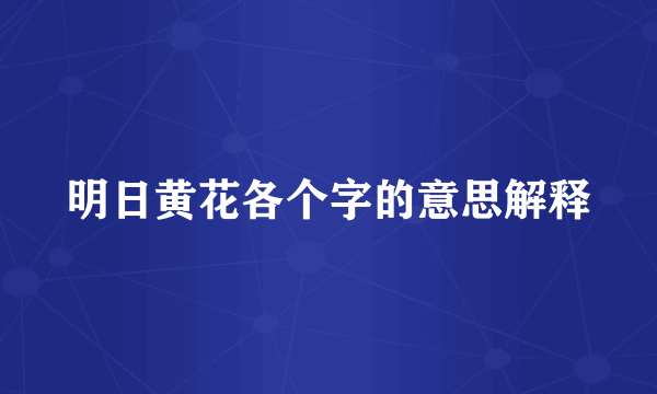 明日黄花各个字的意思解释