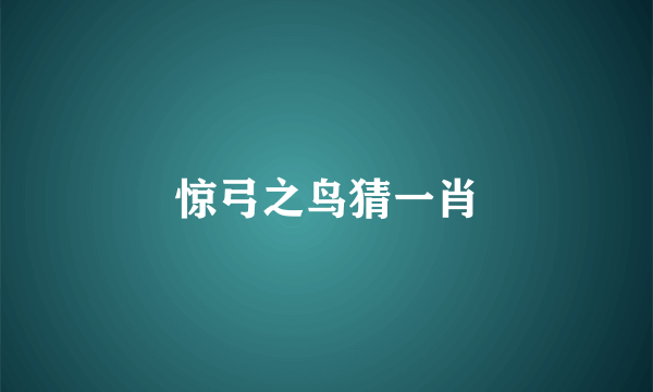 惊弓之鸟猜一肖