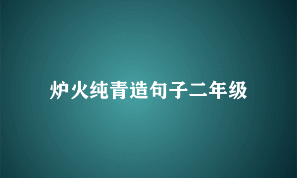 炉火纯青造句子二年级