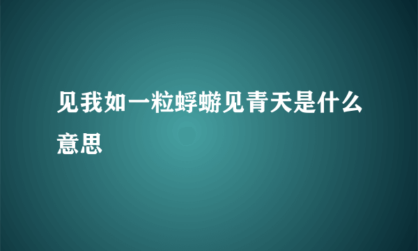 见我如一粒蜉蝣见青天是什么意思