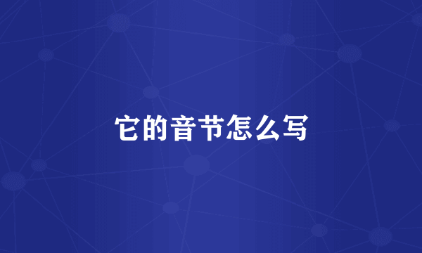 它的音节怎么写