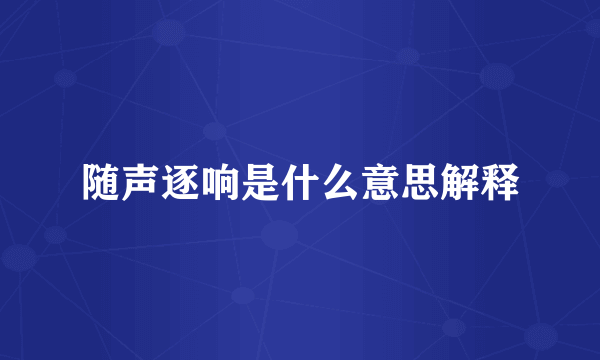 随声逐响是什么意思解释