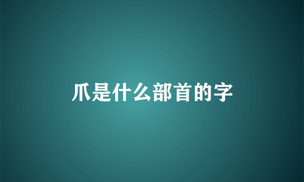 爪是什么部首的字