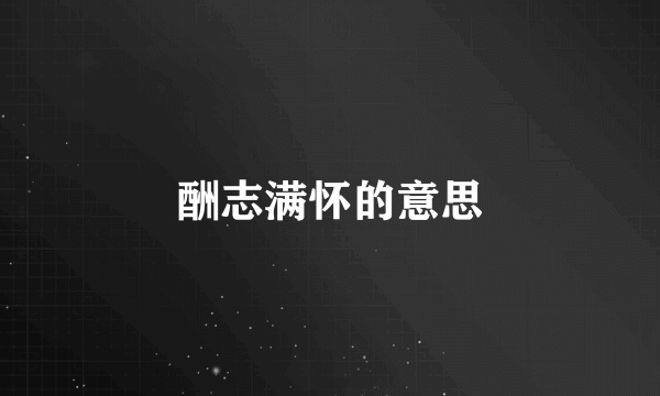 酬志满怀的意思