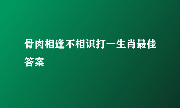 骨肉相逢不相识打一生肖最佳答案