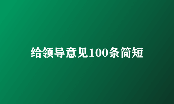 给领导意见100条简短