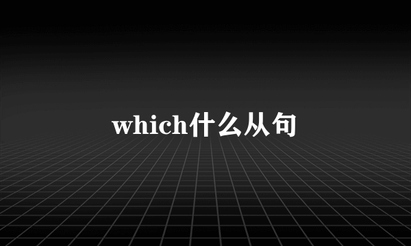 which什么从句