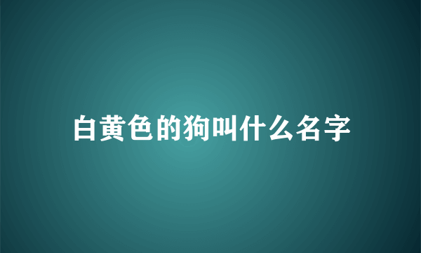 白黄色的狗叫什么名字