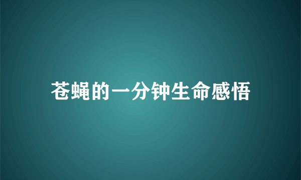苍蝇的一分钟生命感悟