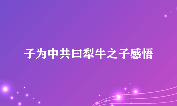 子为中共曰犁牛之子感悟