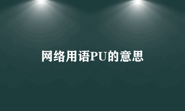 网络用语PU的意思