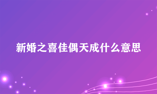 新婚之喜佳偶天成什么意思