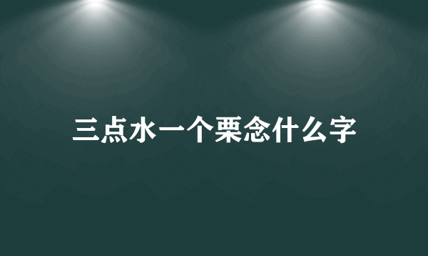 三点水一个栗念什么字