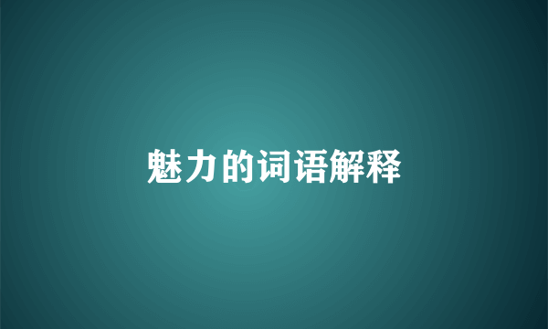 魅力的词语解释