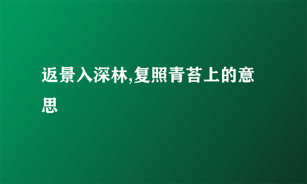 返景入深林,复照青苔上的意思