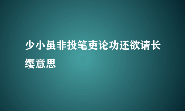 少小虽非投笔吏论功还欲请长缨意思
