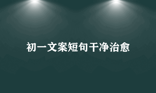 初一文案短句干净治愈