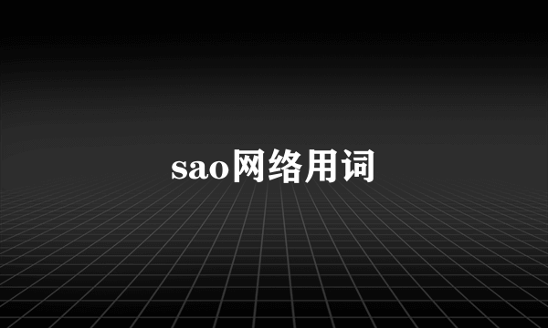 sao网络用词