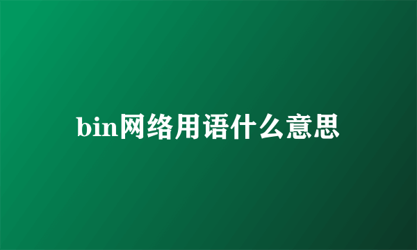 bin网络用语什么意思
