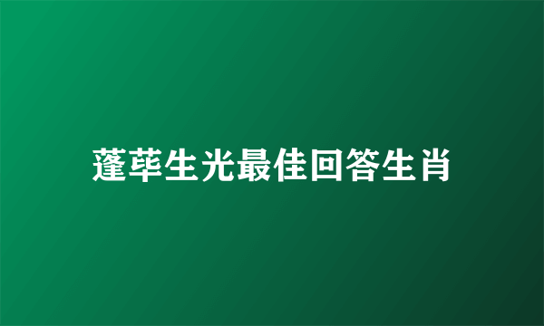蓬荜生光最佳回答生肖