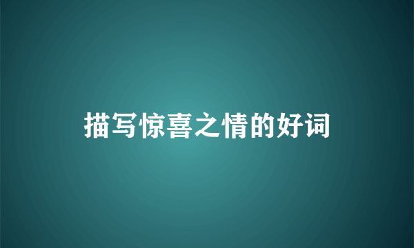 描写惊喜之情的好词