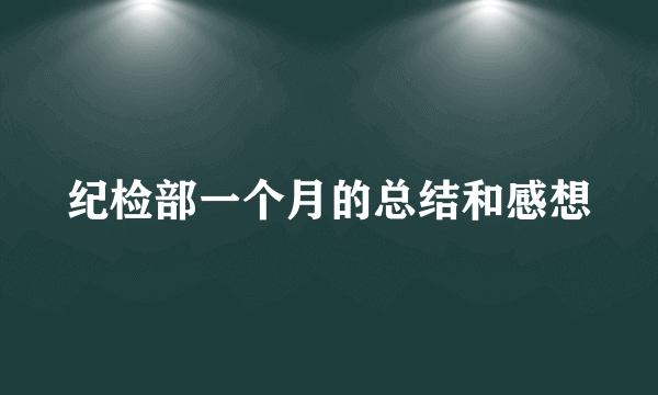 纪检部一个月的总结和感想