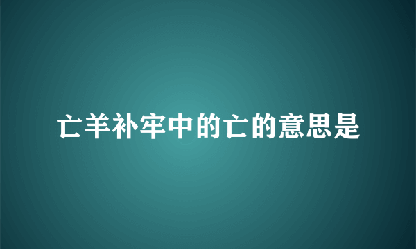 亡羊补牢中的亡的意思是