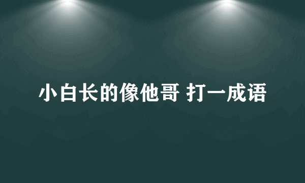 小白长的像他哥 打一成语