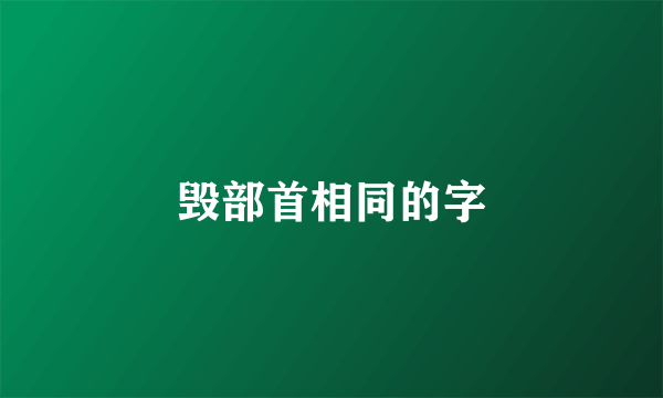 毁部首相同的字