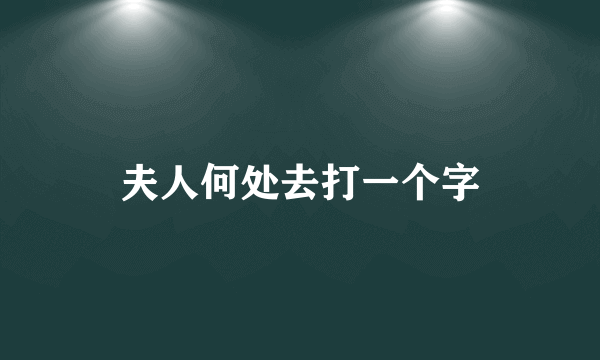 夫人何处去打一个字
