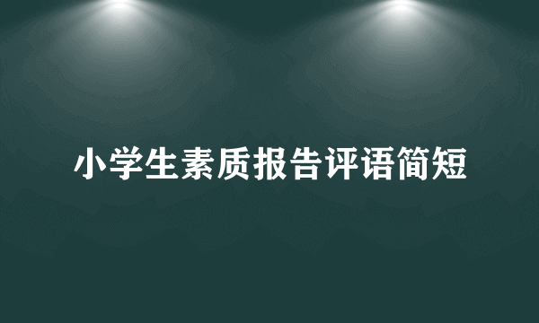 小学生素质报告评语简短