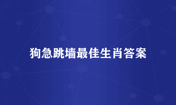 狗急跳墙最佳生肖答案