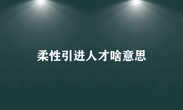 柔性引进人才啥意思