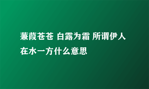 蒹葭苍苍 白露为霜 所谓伊人 在水一方什么意思