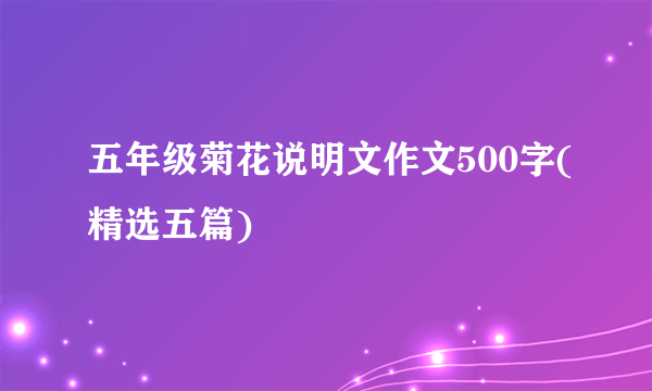 五年级菊花说明文作文500字(精选五篇)