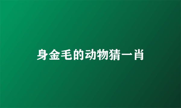 身金毛的动物猜一肖