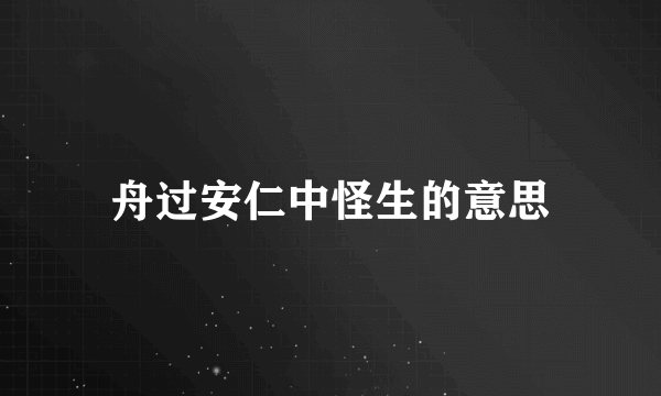 舟过安仁中怪生的意思