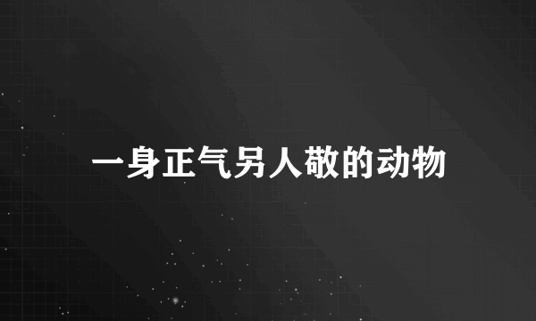 一身正气另人敬的动物