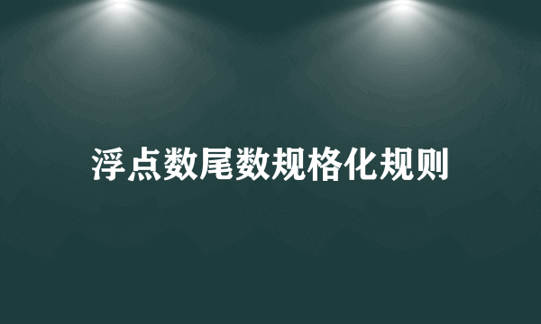 浮点数尾数规格化规则