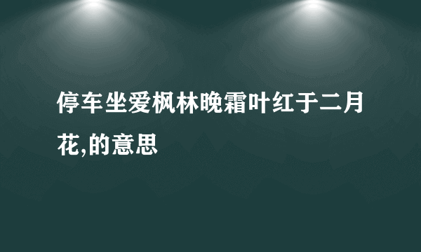 停车坐爱枫林晚霜叶红于二月花,的意思