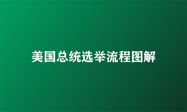 美国总统选举流程图解