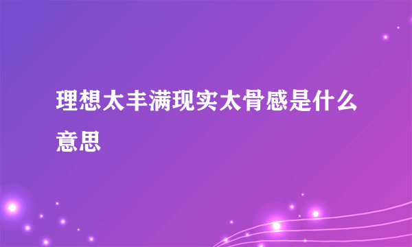 理想太丰满现实太骨感是什么意思