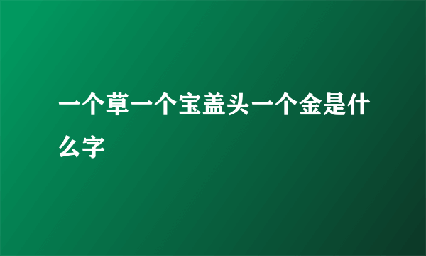 一个草一个宝盖头一个金是什么字