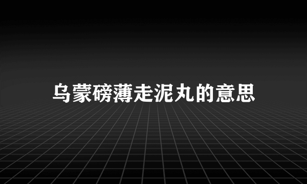 乌蒙磅薄走泥丸的意思